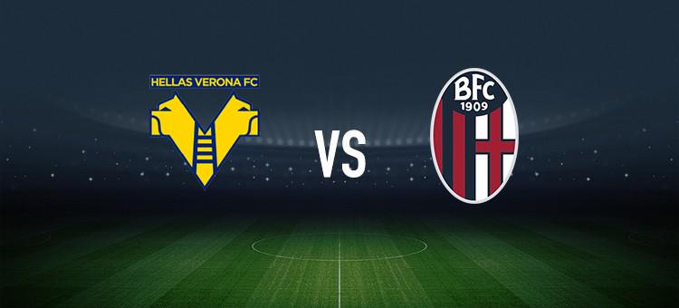 场迅速适应 场迅速适应