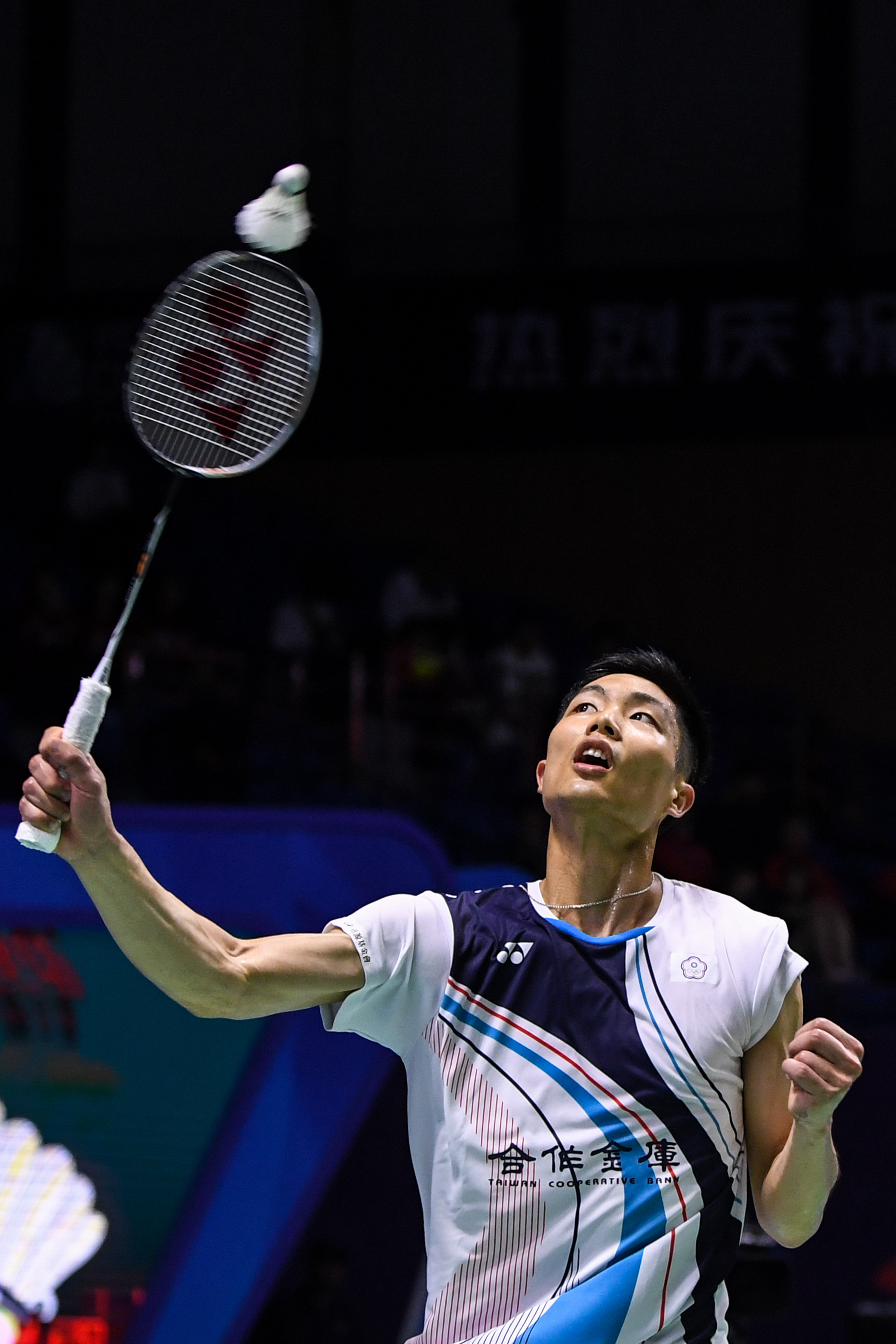 莫塔在这些 莫塔在这些